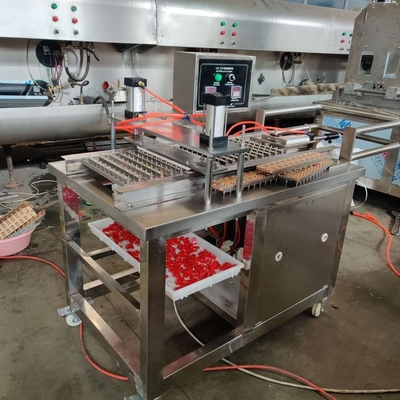 CE Einzelhandel Automatische Gummies Süßigkeiten Produktionsmaschine mit Ablagefunktion