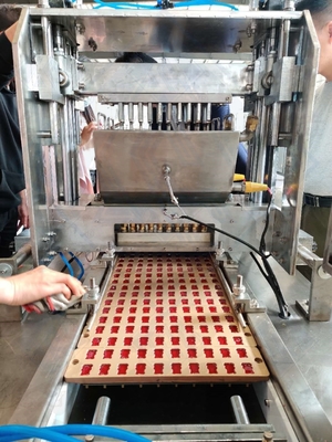 Erweiterte Jelly Candy-Machmaschine für Süßigkeiten 500 kg Ausgabe Automatische Produktionslinie